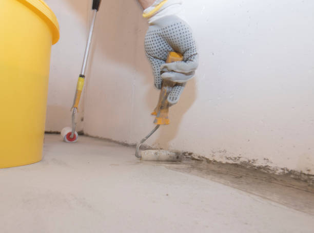 Best Bee and Wasp Removal  in Dell Rapids, SD